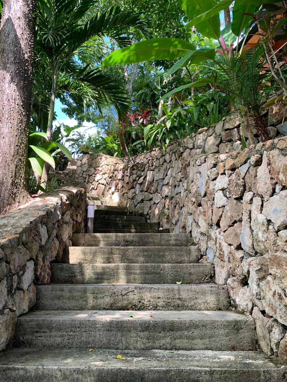 Vista Del Alma Boutique - Adult Only Hotel Playa Santa Teresa  ภายนอก รูปภาพ